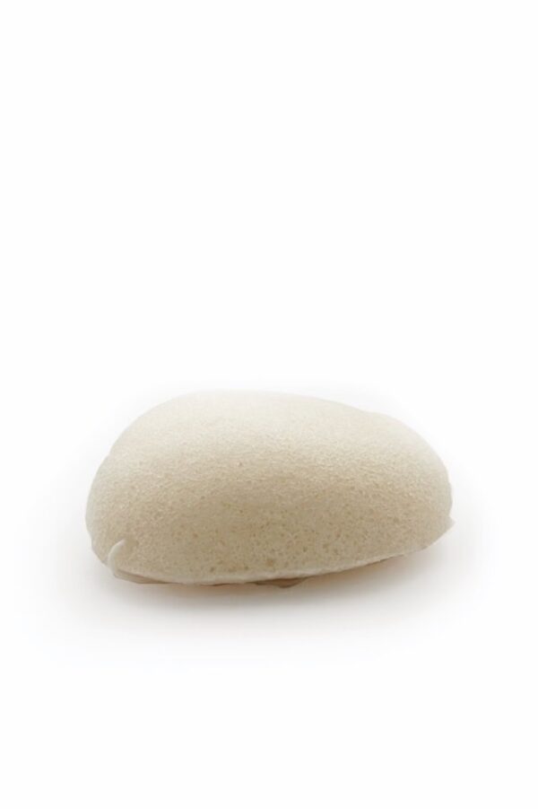 konjac